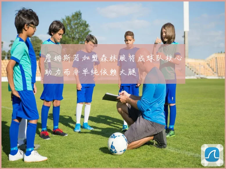 詹姆斯若加盟森林狼将成球队核心助力而非单纯依赖大腿